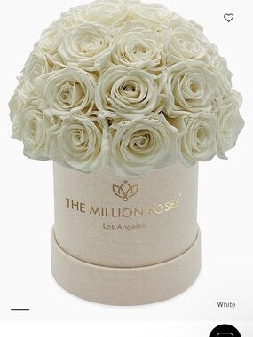 The Million Roses White Preserved Rose Bouquet